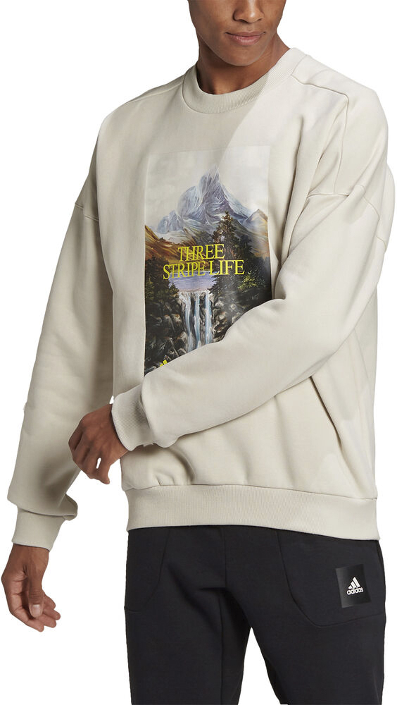 Adidas Sportswear Mountain Graphic Sweatshirt til Mænd
